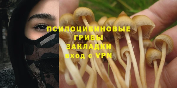 spice Зеленодольск