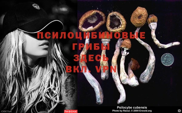 Альфа ПВП Зеленокумск