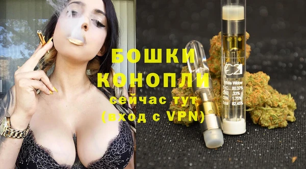 spice Зеленодольск
