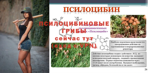 spice Зеленодольск